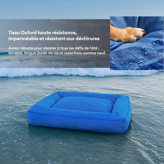 DreamNest™ – Le coussin orthopédique et imperméable