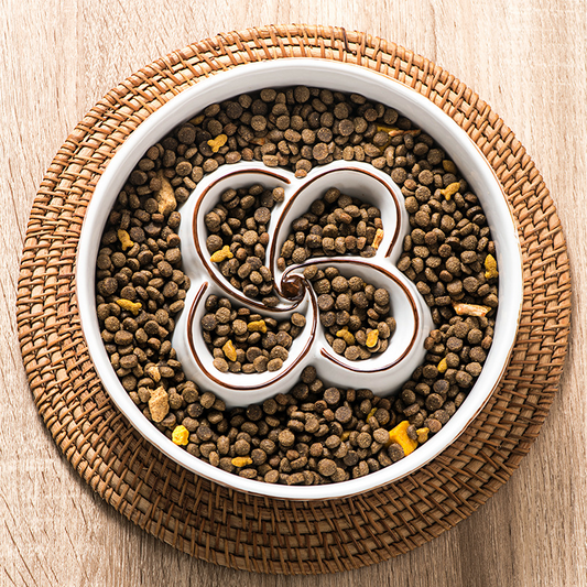 Gamelle anti‑glouton en céramique