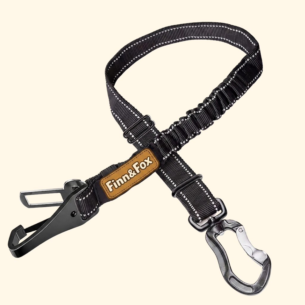 Laisse de sécurité pour chien