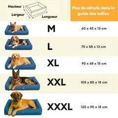 DreamNest™ – Le coussin orthopédique et imperméable