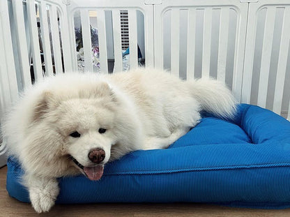 DreamNest™ – Le coussin orthopédique et imperméable